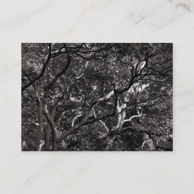 Japanese Branches 03 Business Card (Front)