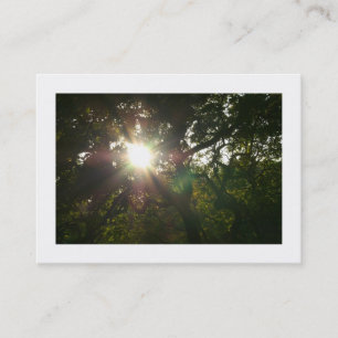 Japanese Branches 07 (Bordered) Business Card