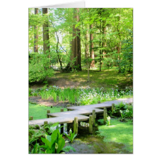 Japanese Bridge in the Nitobe Gardens
