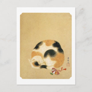 Japanese Calico cat, Hanabusa Itchō Postcard