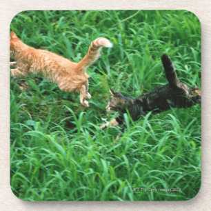 Japanese Cat 3 Coaster