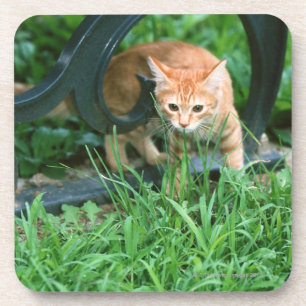 Japanese Cat 3 Coaster