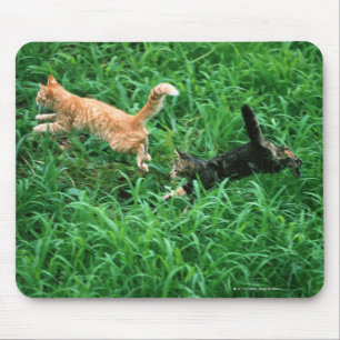 Japanese Cat 3 Mouse Pad