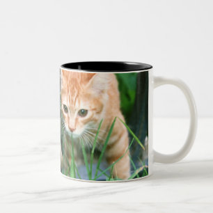 Japanese Cat 3 Two-Tone Coffee Mug