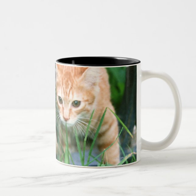 Japanese Cat 3 Two-Tone Coffee Mug (Right)