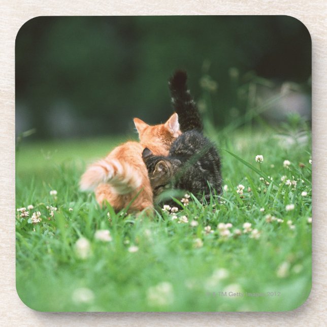 Japanese Cat 4 Coaster (Front)