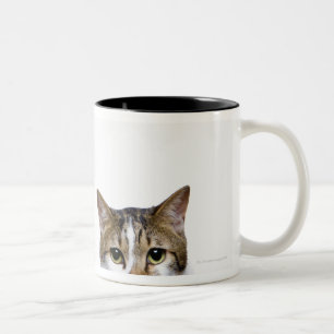 Japanese cat and Manx cat on white background Two-Tone Coffee Mug