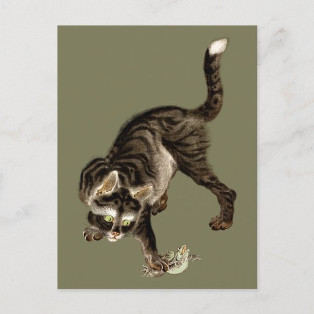 Japanese Cat Catching a Frog Postcard (Front)