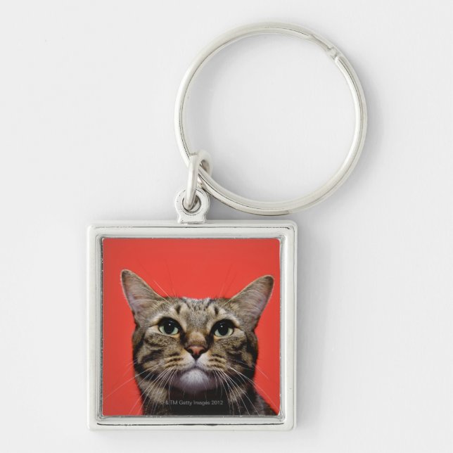 Japanese cat looking up key ring (Front)