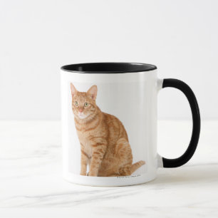 Japanese Cat Mug