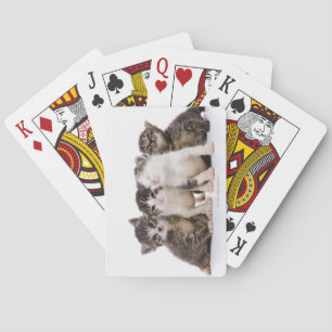 Japanese cat playing cards