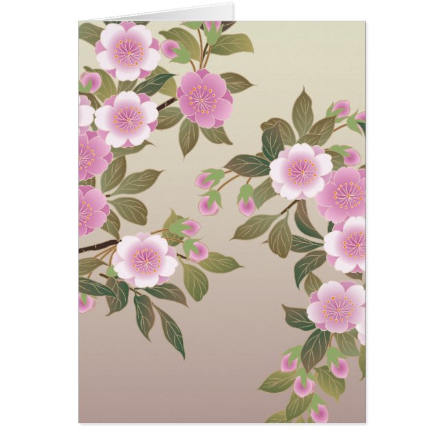 Japanese Cherry Blossoms (Front)