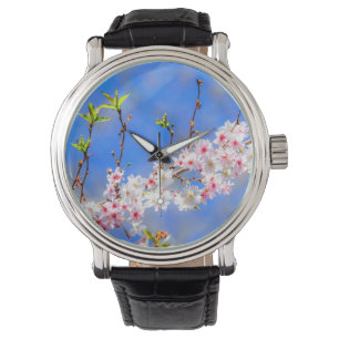 Japanese Cherry Blossoms 17    Watch