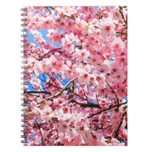 Japanese Cherry Blossoms Notebook