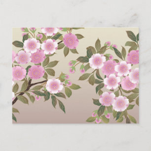 Japanese Cherry Blossoms Postcard