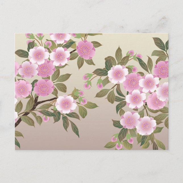 Japanese Cherry Blossoms Postcard (Front)