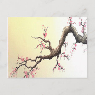 Japanese Cherry Blossoms Postcard