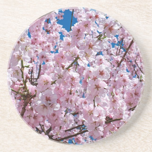 Japanese cherry Flower Coaster (Front)