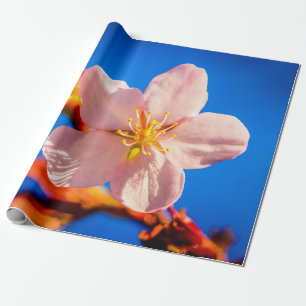 Japanese Cherry Sakura Flower Wrapping Paper
