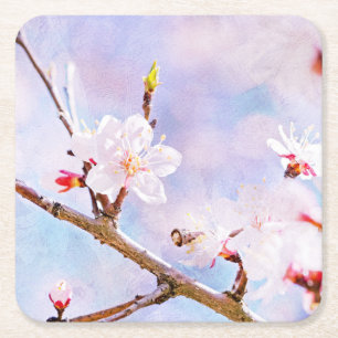Japanese Cherry - Sakura In Bloom Square Paper Coaster