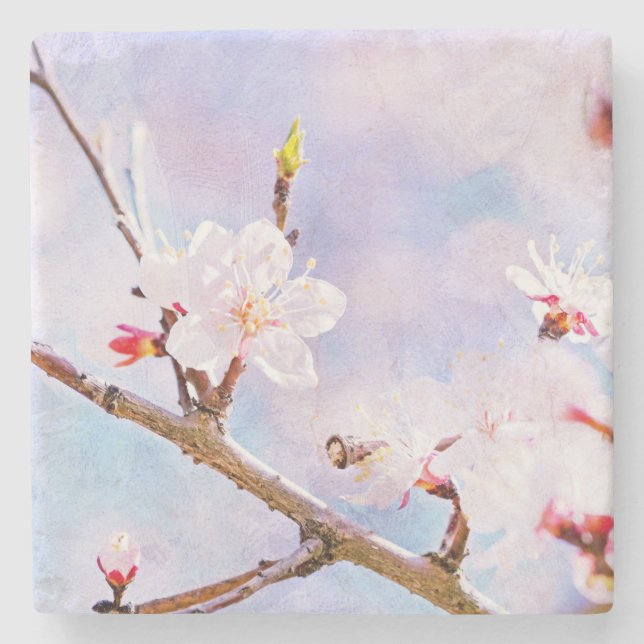 Japanese Cherry - Sakura In Bloom Stone Coaster (Front)