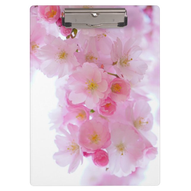 Japanese Cherry Tree Blossom Clipboard (Front)