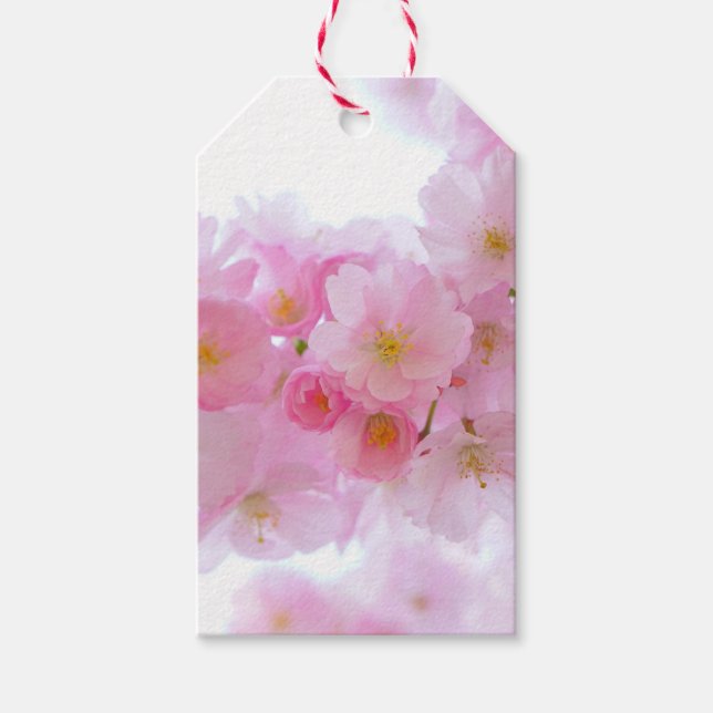 Japanese Cherry Tree Blossom Gift Tags (Front)