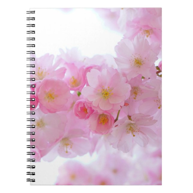 Japanese Cherry Tree Blossom Notebook (Front)
