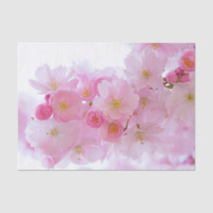 Japanese Cherry Tree Blossom Tissue Paper