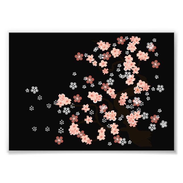 Japanese Cherry Tree Blossoms Photo Print (Front)