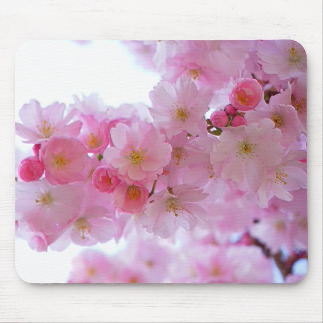 Japanese Cherry Tree Flower Mouse Pad (Front)