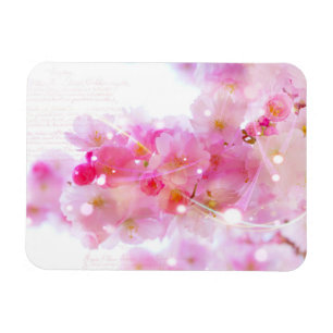 Japanese Cherry Tree with Pastel Pink Blossoms Magnet