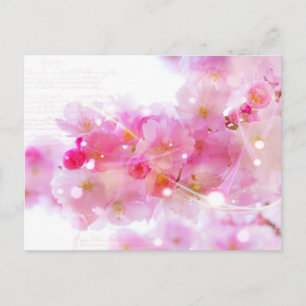 Japanese Cherry Tree with Pastel Pink Blossoms Postcard