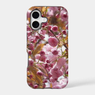 Japanese Cherry Trees