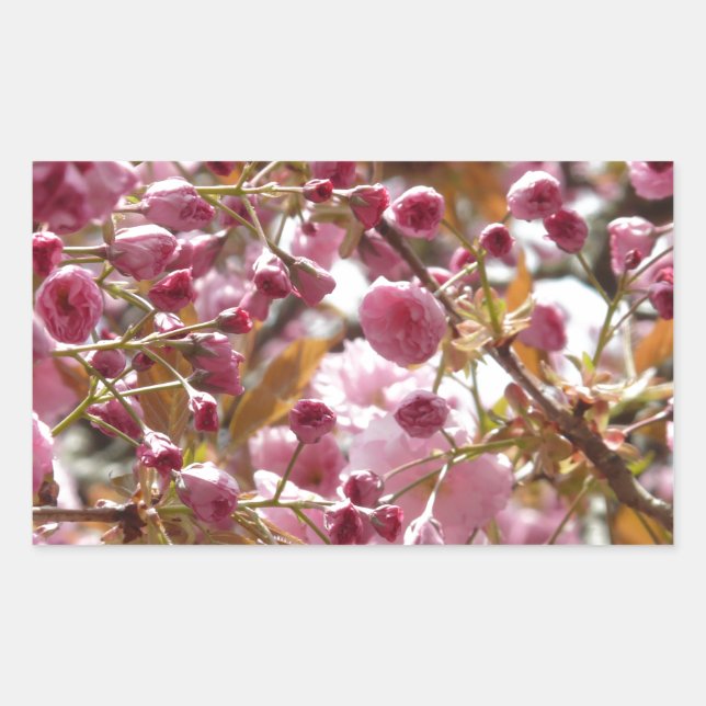 Japanese Cherry Trees Rectangular Sticker (Front)