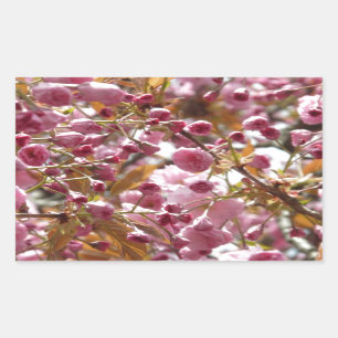 Japanese Cherry Trees Rectangular Sticker