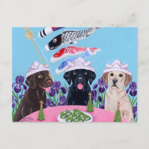 Japanese Children's Day Labradors Postcard