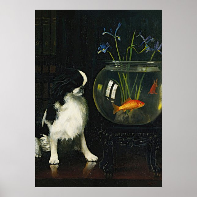Japanese Chin and Goldfish, Vintage Art Poster (Front)