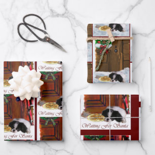 Japanese Chin Awaiting Christmas Wrapping Paper Sheet
