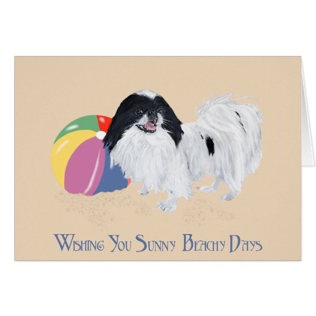 Japanese Chin Beach Ball (Front Horizontal)