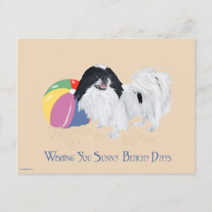 Japanese Chin Beach Ball Postcard