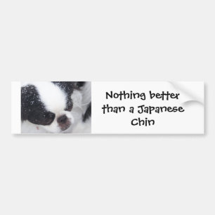Japanese chin Bumper Sticker