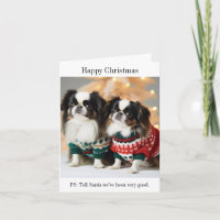 Japanese Chin Dogs in Christmas Sweaters