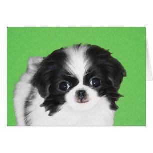 Japanese Chin Puppy Painting - Original Dog Art