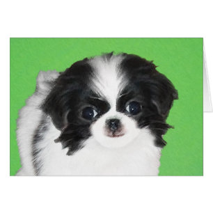 Japanese Chin Puppy Painting - Original Dog Art