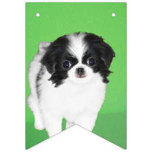 Japanese Chin Puppy Painting - Original Dog Art Bunting