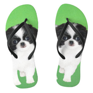 Japanese Chin Puppy Painting - Original Dog Art Thongs