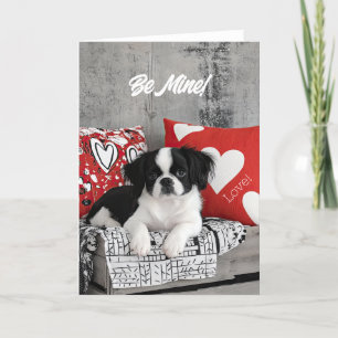 Japanese Chin Puppy Valentine Card