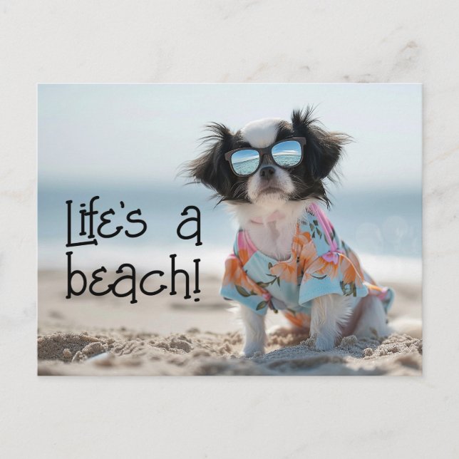 Japanese Chin Puppy wearing sunglasses Postcard (Front)
