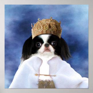 Japanese Chin Queen Canvas Print